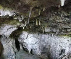 Fotografia de ROCATER, COVA DEL (2 de 2)