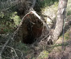 Fotografia de VIDRE, AVENC DEL (1 de 2)