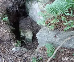 Photographie de BAGA DE CAN TORRELA, FORAT DE LA (1 sur 5)