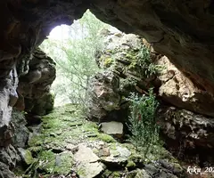 Photograph of MOSQUITS, COVA DELS (6 of 6)