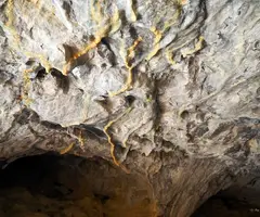 Photograph of RACÓ DEL NINYO, COVA DEL (4 of 4)