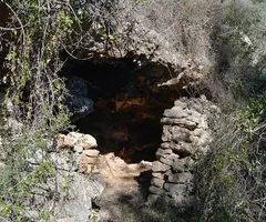 Fotografia de LIAUS, COVA DELS (1 de 2)