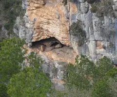 Fotografia de PENYA DEL DONZELL, BALMA DE LA (2 de 2)