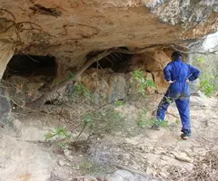 Photograph of ARTIGA, COVA Nº2 DE L' (1 of 4)