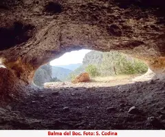 Fotografía de BOC, BALMA DEL (5 de 5)