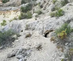 Fotografia de PEDRERA DE L'ANTIC, FORAT DE LA (1 de 8)