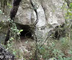 Fotografía de TOIXÓ, COVA DEL (3 de 7)