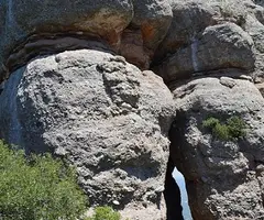 Fotografia de DRAC, COVA DEL (2 de 2)