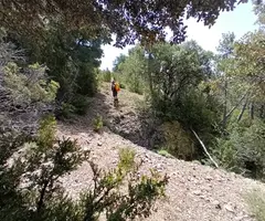 Fotografía de BAIARRI, GRALLERA DE (1 de 6)