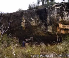 Fotografia de CAMÍ DEL MOLÍ, COVA PETITA DEL (1 de 3)