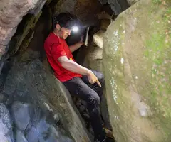 Fotografía de TREVINEDES, COVA DE LES (2 de 3)