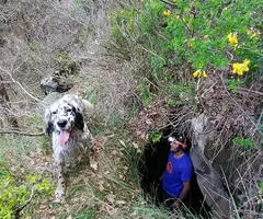 Fotografia de SASTRE, COVA DEL (1 de 4)