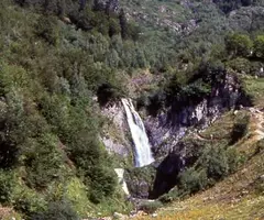 Fotografía de SESCORJADA, UELH DER (1 de 4)