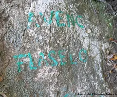 Fotografia de FLORESSO, AVENC D'EN (1 de 6)