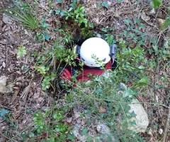 Fotografia de TALPETS, AVENC PETIT DELS (3 de 4)