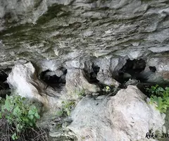 Photographie de PARE PASQUAL, COVA DEL (6 sur 7)