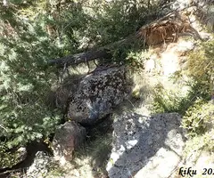 Fotografia de CINGLE DE LA CORBA, AVENC DEL (4 de 5)