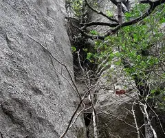Fotografia de ENDAL, COVA DE L' (4 de 8)