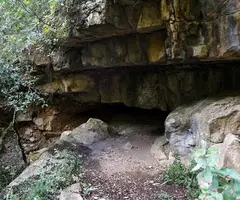 Fotografía de LLOP, COVA DEL (1 de 3)