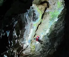 Fotografía de CINGLE DE ROCA ALTA, AVENC DEL (4 de 8)