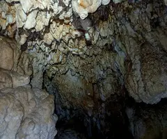 Fotografía de BOSOMS, COVA Nº1 DE (5 de 5)