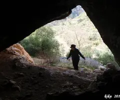 Photograph of HEREU, COVA DE L' (4 of 5)