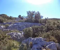 Fotografia de JOAN GRAO, AVENC DE (1 de 4)