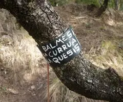 Fotografia de QUESIS, BALMA DE LA (1 de 1)