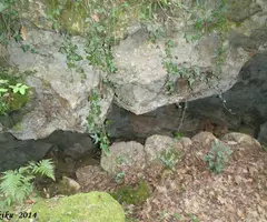 Photograph of MARIVER DE MARTÍS Nº2, COVA DE (3 of 3)