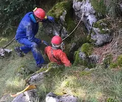 Fotografia de VERNÚS,  AVENC DEL (3 de 3)
