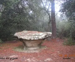 Photographie de GEGANT, COVA DEL (8 sur 9)