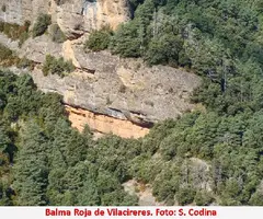 Fotografia de ROJA DE VILACIRERES, BALMA (2 de 3)