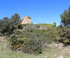 Fotografía de VENTOSES, COVA DE LES (1 de 4)
