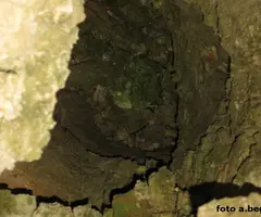 Fotografia de PS-2, AVENC (3 de 3)