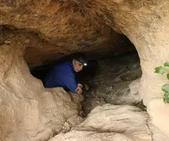 Photograph of ARTIGA, COVA Nº2 DE L' (3 of 4)
