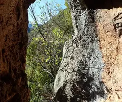 Fotografía de OLOPTE, COVA G D' (6 de 6)