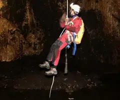 Fotografía de BOIXEDER, GRALLERA GRAN DEL (4 de 5)