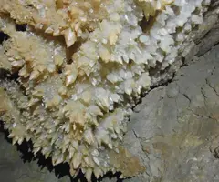 Photographie de BOIXEGUER, GRALLER DEL (18 sur 18)