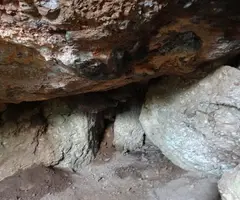 Photographie de CAMÍ NOU, COVA DEL (1 sur 3)