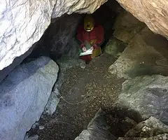 Fotografía de CAN COLESA, COVA DE (4 de 4)