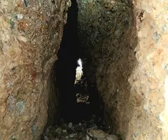 Fotografia de PEPET, BÒFIA D'EN (6 de 8)
