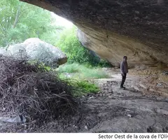 Fotografía de OLIVER, COVA Nº1 DE L' (3 de 3)