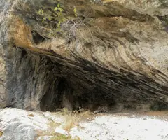 Fotografia de GALL, COVA DEL (1 de 1)