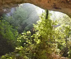 Fotografia de SOVELLES, BALMA DE (1 de 3)