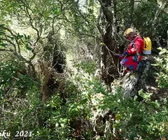 Fotografía de BARRANC DELS ESCLOTS, AVENC DEL (1 de 12)