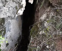 Fotografia de MAS DE LES FONTS, ESQUERDA Nº 6 DEL (1 de 5)