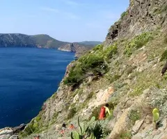 Fotografia de TASSANA, COVA (1 de 5)