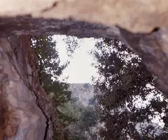 Fotografia de LLOP, COVA DEL (3 de 4)