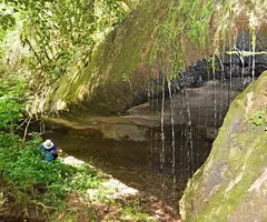 Fotografia de CONILLS, BALMA DELS (3 de 4)