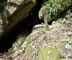 Fotografía de TOFAROQUES DE LES PINOSES, COVA LES (5 de 5)